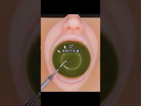 一生コレしか飲めないとしたらどれ選ぶ？🧋 #asmr