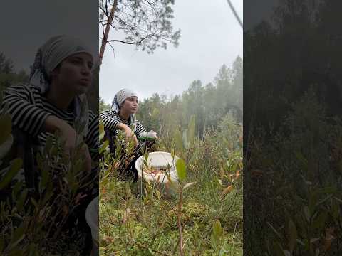 Болото. Дождь. Обеденный перерыв во время сбора клюквы.