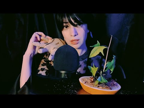 ASMR:Wednesday Addams Bring your soul back to lifeالساحرة تعيدك للحياة بوصفة خارقة وتعويذة الامنيات😲