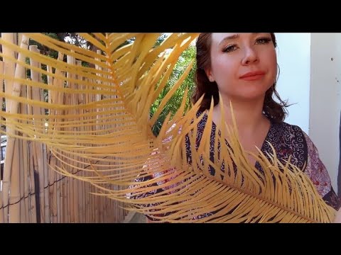 HYPNOTIC ASMR + REIKI: You Are the Light