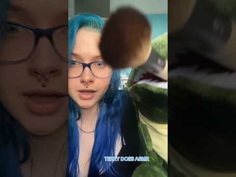 TERRY DOES ASMR 🦖 (full on ✅⏰) #shorts #asmr #asmrfacebrushing #asmrscratching