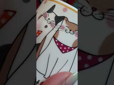 Super cute CAT cup Tapping ASMR (aggressive) #asmr #fastasmr #scratchingasmr #asmrvideo
