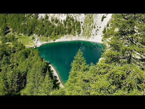 Nature sounds. Lago Visaisa, Piemonte. #asmr #nature #mountains #naturelovers