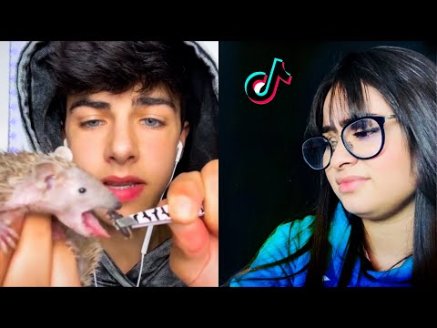 ASMRTIST:  REAGINDO AOS TIKTOKS DE ASMR /EM ASMR  !