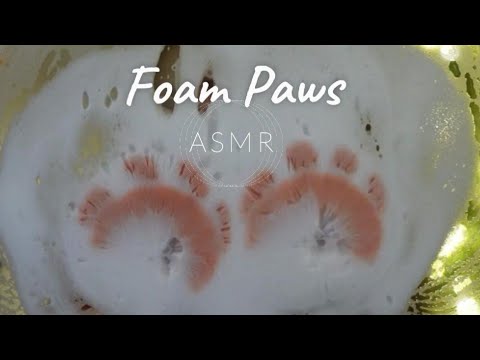 ASMR| Foam Paws | Cat Paws 🐾