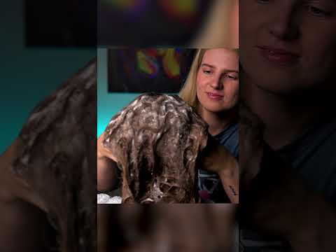 ASMR | Relaxing Shampoo Sounds for Sleep & Calm #relax