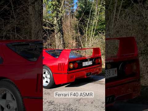 F40 ASMR 🎧 @superstratosenterprise #ferrari #f40 #ferrariasrm #carasmr #supercarsound