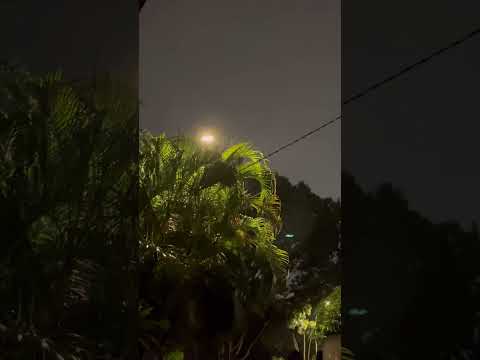 ASMR | Soothing Rain Sounds at Night (calming, one minute)