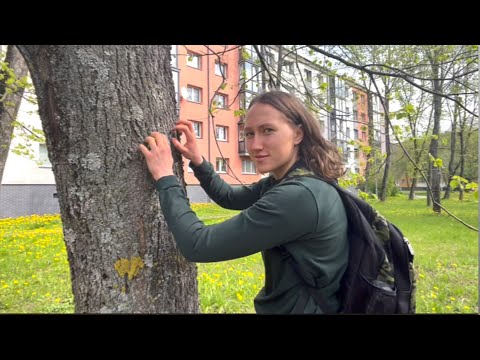 Listen to the Most Relaxing Outdoor Sounds (ASMR)