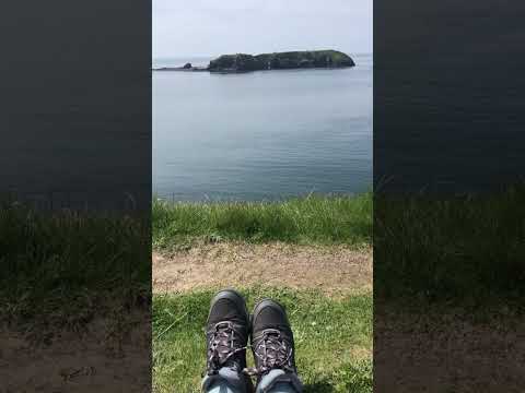 Sights and sounds from the Pembrokeshire Coast Path #asmr #asmrsounds #pembrokeshire