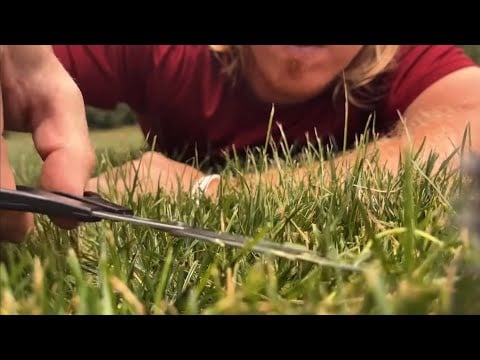 ASMR | Your Most Watched Moments
