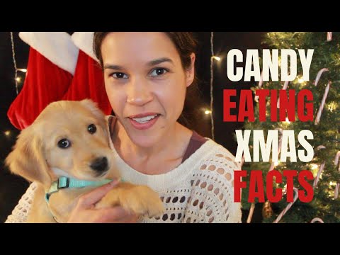 [ASMR] Calming Candy Cane Eating & Whispered Facts About Christmas 🎄