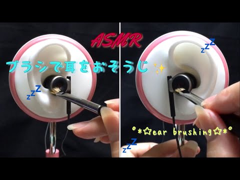 【ASMR】耳を優しくブラッシング👂🏻✨ear brushing✩.*˚