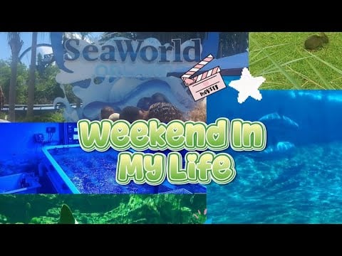 Wreaking Havoc at SeaWorld (A Vlog)