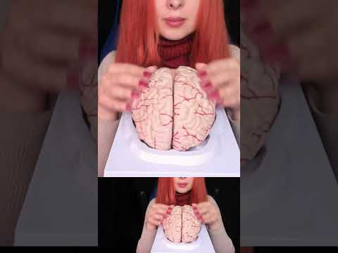 ASMR Most Tingly Brain Massage Ever (No Talking) #shorts