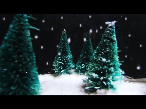 ASMR From Inside a Snow Globe