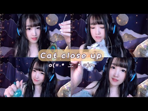 【ASMR 少寒 95】觸發音，貓咪耳邊進食罷工後（貓咪食音、攪拌汽水、孔雀毛采耳、音叉嗡嗡、解壓球）