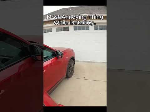 The most annoying thing while detailing!  #asmr #fyp