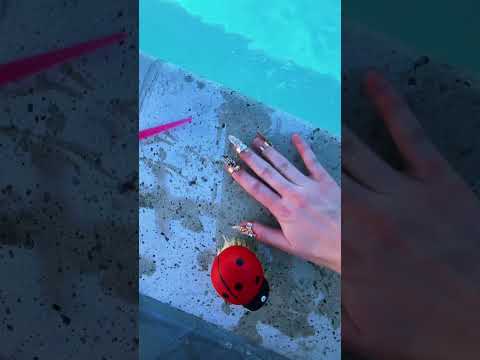 One minute of fast and aggressive ASMR at the pool hydrating the concrete #asmr #relax #poolasmr