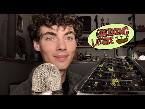 ASMR Gardening Update!! Lettuce seedlings, Canteloupe Plant | Whispered ASMR Gardening