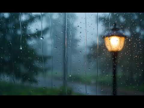 RAIN RELAXATION MOOD FOR DEEP SLEEP OR MEDITATION 💧🌧️☔