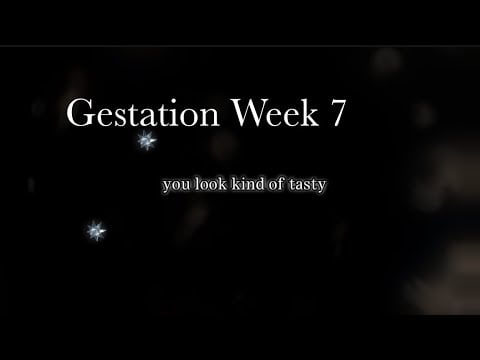 “ASMR” “Roleplay”: Speculating about the Womb Inside the Womb with Your Twin on Week 7 of Gestation