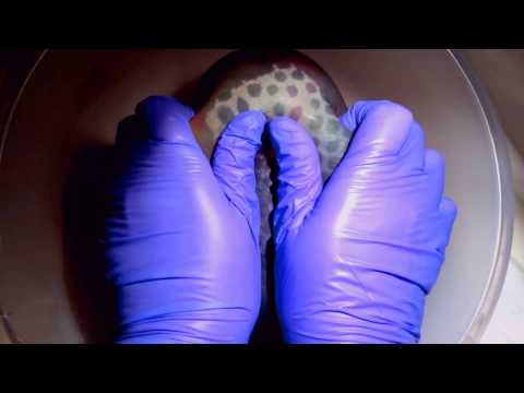 Water breaks♥  P🔘pping SENSATION💥 unstoppable force♥ SPLASH❕❗💦 [[ASMR]]