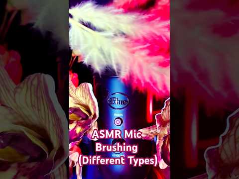 ASMR Different Types Mic Brushing🪽 #asmr #shorts #asmrsounds  #asmrtriggers #brushing
