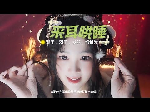 【ASMR / shorts vol 80】采耳哄睡