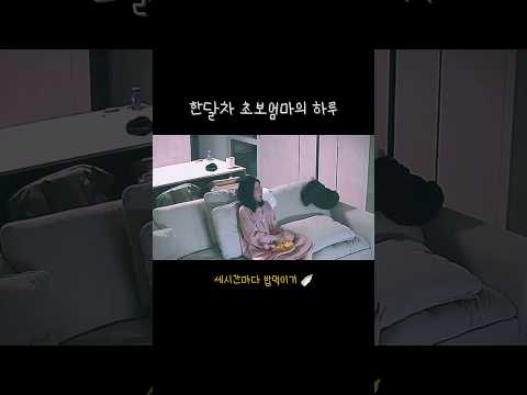 한달차 초보엄마의 하루