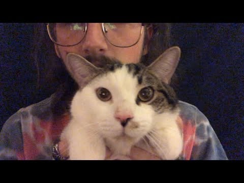 ASMR Sharp or Dull Exam Roleplay {with bonus guest}
