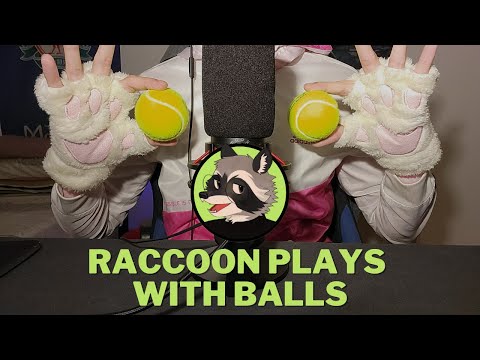 [Furry ASMR] Raccoon Plays with Balls (Tapping, Brushing and Rambling)