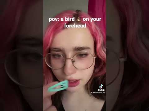 getting bird poop off your forehead | asmr short