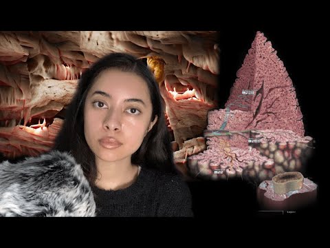 ASMR flesh pit national park pt. 2