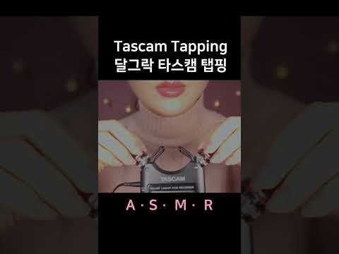 #asmr Heavenly Tascam Tapping 귀가 간질한 타스캠 탭핑