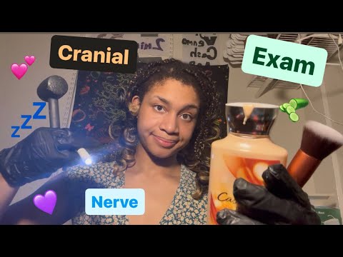 ASMR - Cranial Nerve Examination (Stephh)
