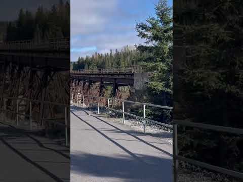 ASMR by a bridge 🌁