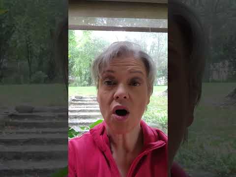 Day 22 of the Walking Challenge  #walkingchallenge