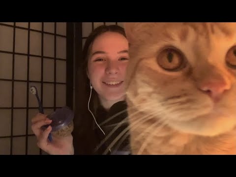 ASMR Kitty Tingles (Purring, Crunching, Petting)