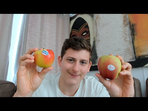 ASMR Apple Store Roleplay 📱