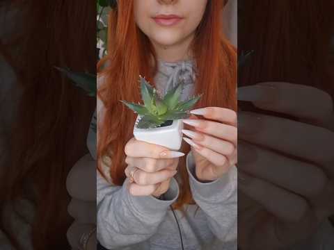 fake plant asmr💚#asmrvideo #relax #fakeplants #asmr #asmrsounds #plantasmr #tappingtriggers #relax