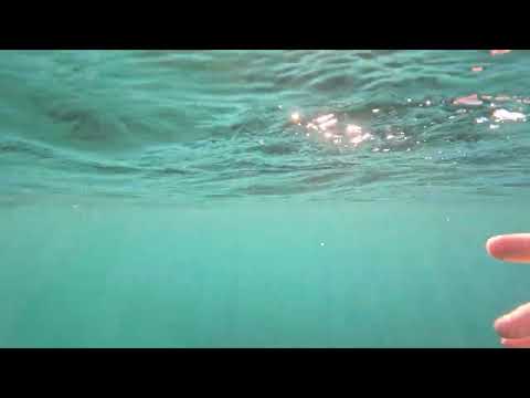 Underwater Meditation / Trauma Healing: Waking the Tiger Epilogue
