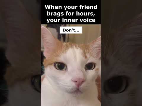 ASMR When your friend brags for hours