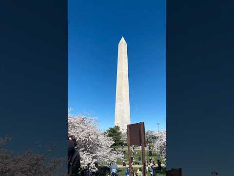 Pencil ✏️ #travel #juna #washington #dc