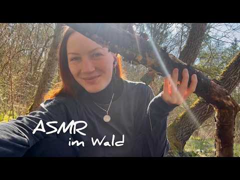 ASMR im Wald 🍃 (mit Naturgeräuschen & Emy)