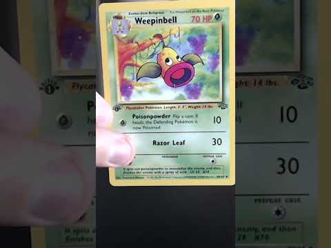 First Edition Pokemon Cards ASMR