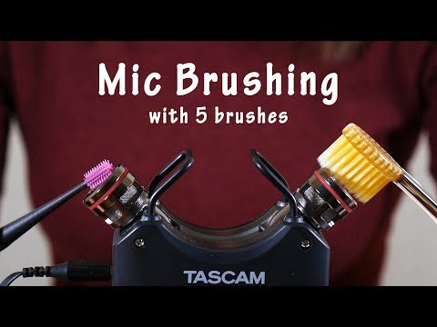 ASMR Mic Brushing with Makeup Brush, Toothbrush, Silicone Earpick | No Windshield (No Talking)