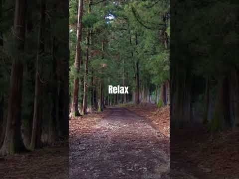 Relax asmr birdsounds #hair