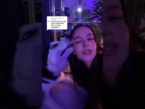 is he the calmiest husky? Lol #asmr #asmrsounds #asmrvideo #sleep #tingles
