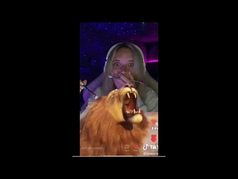 asmr tiktok live 6/27 // i got a lion!!!! // asmrkea